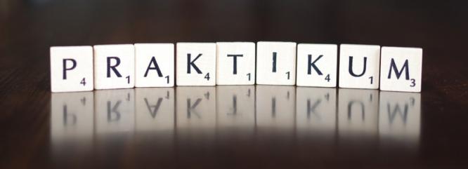 praktikum.jpg